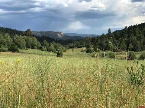 273 Crestone Place, Pagosa Springs, CO 81147