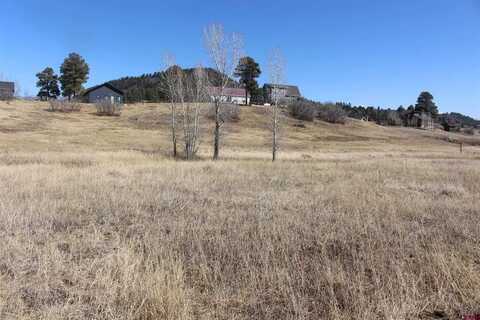 1572 Hills Circle, Pagosa Springs, CO 81147