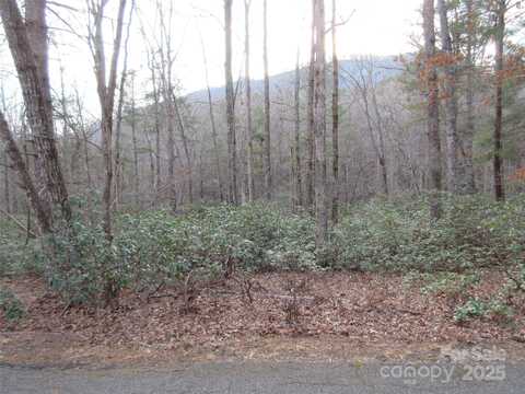 Lot 50 Huntington Road, Lake Lure, NC 28746