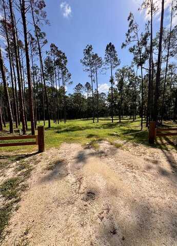 0 Webb Ln, Steinhatchee, FL 32359