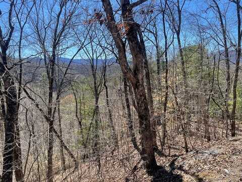 Lot 58-1 Fontana Lake Dr, Bryson City, NC 28713