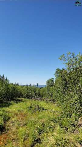 L5 B7 CHARLES LYELL LOOP, Remote, AK 99756