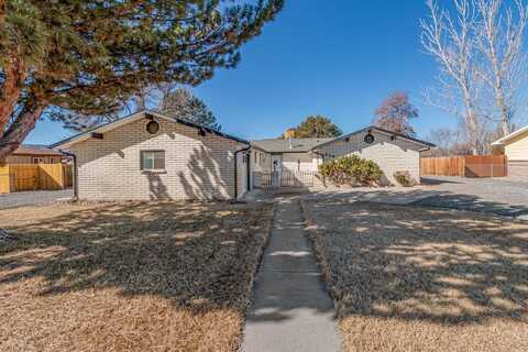 419 N Mesa Street, Fruita, CO 81521