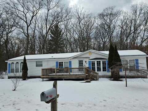 8989 10th Avenue, Bitely, MI 49309