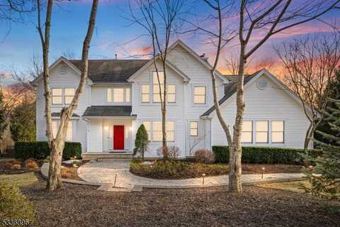 1 Skyview Ter, Hilltop, NJ 07980