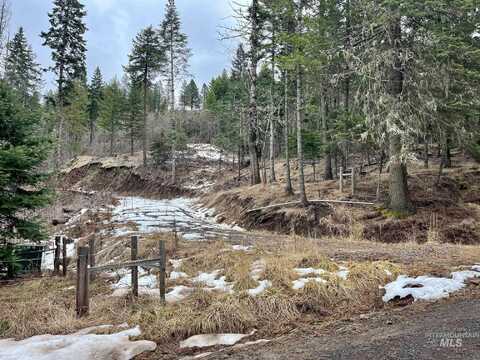 5756 Lakeview Rd, Orofino, ID 83544