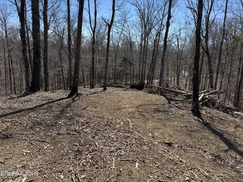 Lot 13 Heatley Lane, Sevierville, TN 37862