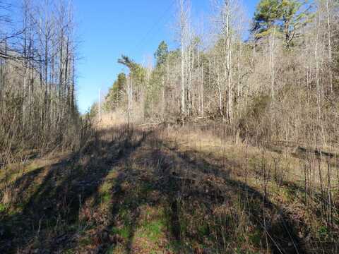 Phillip Hollow Road, Bybee, TN 37713