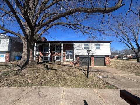 3809 Buckley Road, Saint Louis, MO 63125