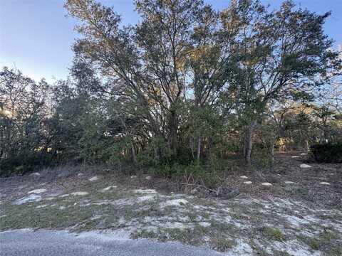0 SW 147TH STREET ROAD, OCALA, FL 34473