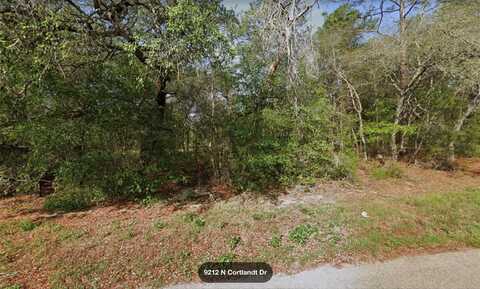 9212 N CORTLANDT DRIVE, CITRUS SPRINGS, FL 34434