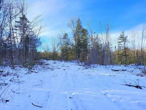 Lot 62.2 Reeds Mill Road, Madrid Twp, ME 04966