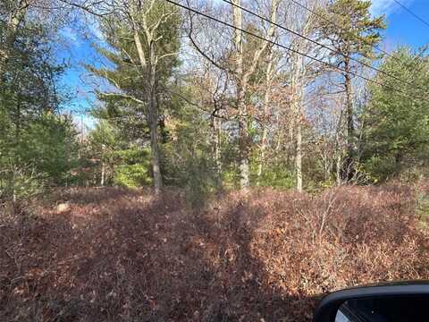 Lot 23.8 Kalin Weber Road, Glen Spey, NY 12737