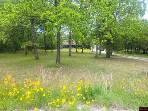 1395 BLUE WING ROAD, Mountain Home, AR 72653
