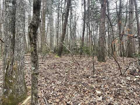 Lot 13 Wilderness Ridge Sub, Blairsville, GA 30512