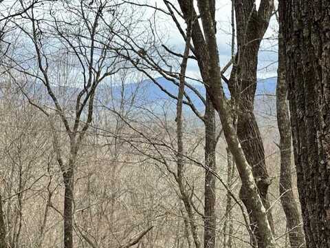 Lot 15 Whisenant Mountain Road, Ellijay, GA 30540