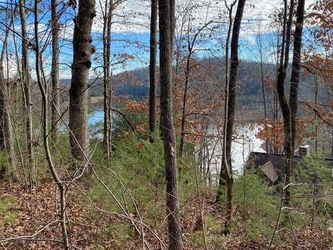 Village Road, Murphy, NC 28906