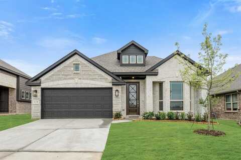 119 Emperor Oak Court, Balch Springs, TX 75181