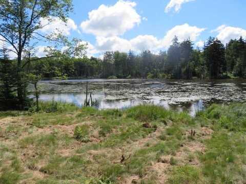 0 North Rd, Turin, NY 13325