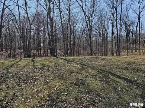 Lot 2 E Whipporwill Road, Mount Vernon, IL 62864