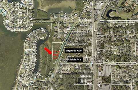 MAGNOLIA AVENUE, PALM HARBOR, FL 34683