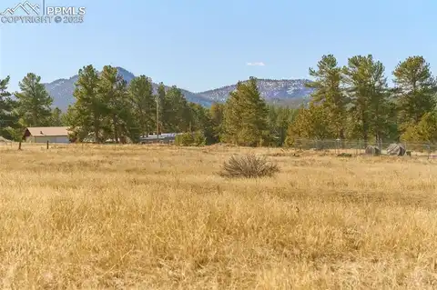 Unknown Road, Lake George, CO 80827