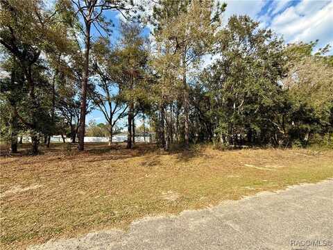 151 W Reef Lane, Dunnellon, FL 34434