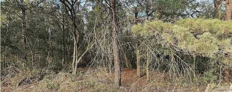 1379 N Hajik Path, Lecanto, FL 34461