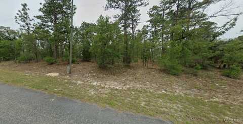 1334 W Newbury Street, Citrus Springs, FL 34434