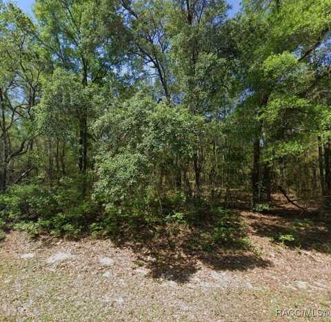 8276 N Orton Way, Dunnellon, FL 34434