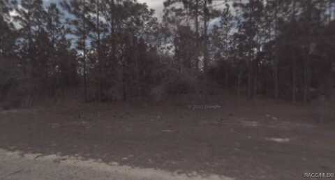 3673 W Lappula Lane, Citrus Springs, FL 34433