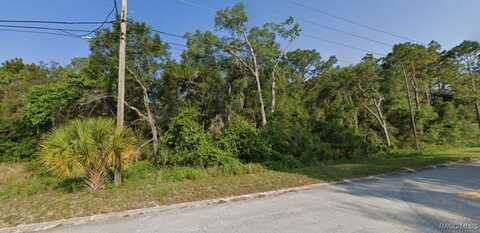 1129 Rutgers Terrace, Inverness, FL 34452