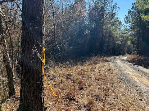 2b Redman Ridge Lane, Decatur, TN 37322