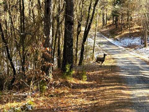 Tract 1 Redman Ridge Lane, Decatur, TN 37322