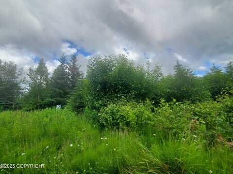 32370 Stacey Lane, Anchor Point, AK 99556