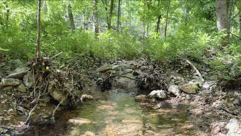 10824 Upper Janes Creek Road Road, Ravenden, AR 72459