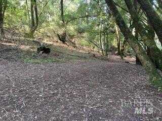 5 9 Meadow View Lane, San Geronimo, CA 94963