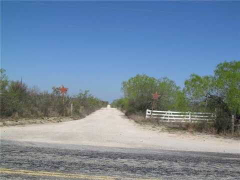 Irene, Benavides, TX 78341