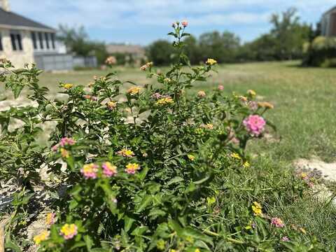 518 Winding Way, Fredericksburg, TX 78624