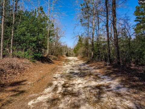 624 Senterfeit Road, Batesburg, SC 29006