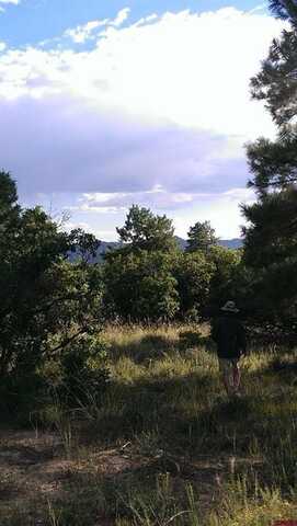 43 Butzke Court, Pagosa Springs, CO 81147