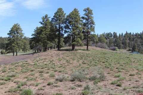 2901 County Road 500, Pagosa Springs, CO 81147