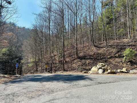 Staghorn Road, Purlear, NC 28665