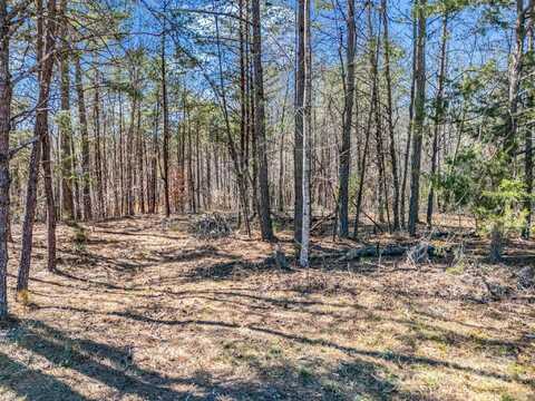 Petite Court, Rutherfordton, NC 28139