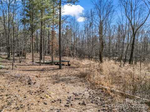 00 Petite Court, Rutherfordton, NC 28139