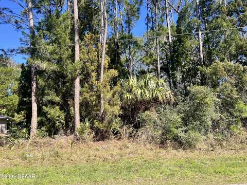 179 Ullian Trail, Palm Coast, FL 32164