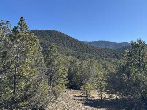 Tract 4 Verde Road, Taos, NM 87571