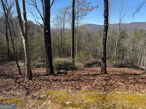 Lot 56 Fires Creek Cove, Hayesville, NC 28904
