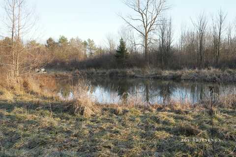 V/L Fawn Path, Parcel B, Allegan, MI 49010