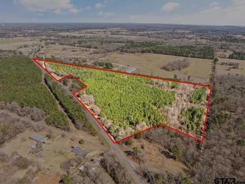 Lot 6 FM 556, Pittsburg, TX 75686